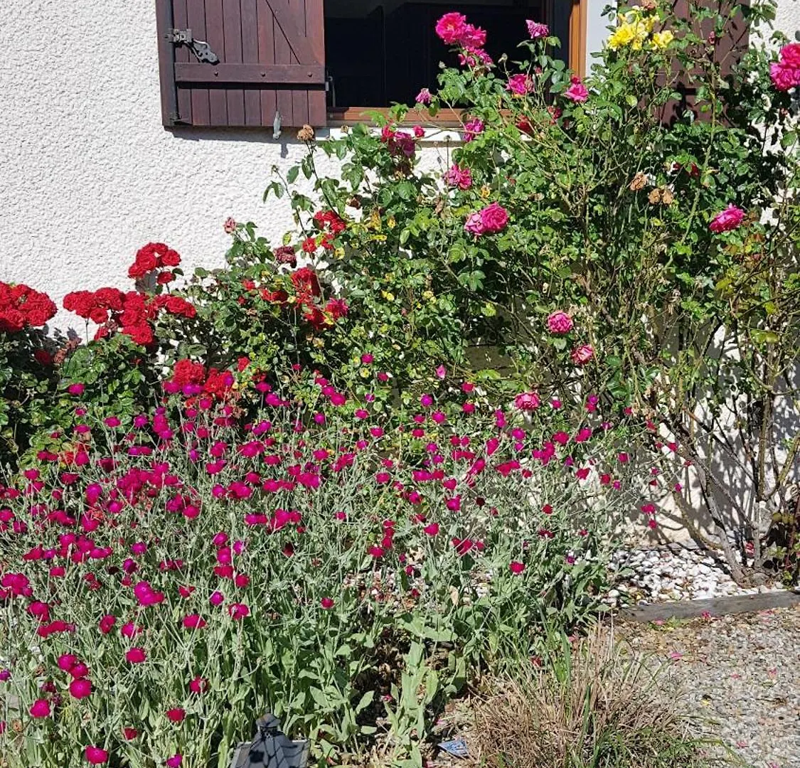 Maison, Grand Jardin, Lac 8 Min A Pied, Piste Cyclable, 6 Couchages Sevrier 0*,