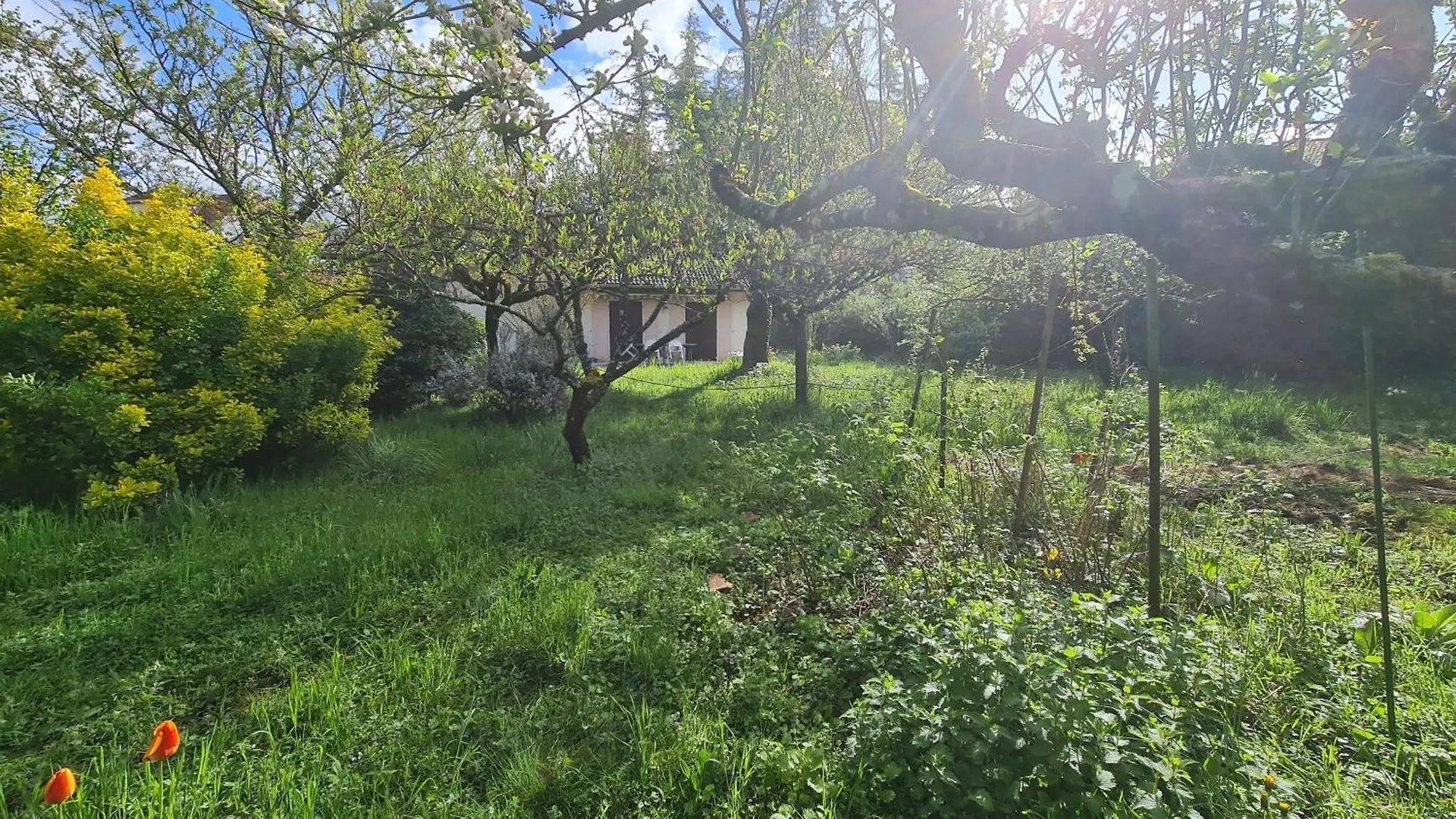Holiday home Maison, Grand Jardin, Lac 8 Min A Pied, Piste Cyclable, 6 Couchages Sevrier